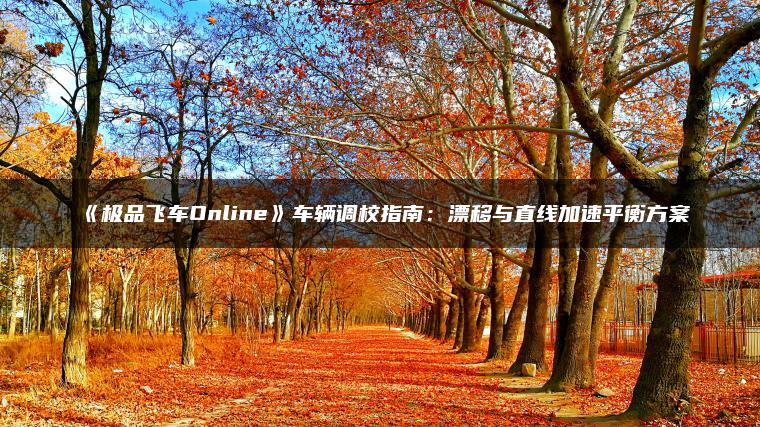 《极品飞车Online》车辆调校指南：漂移与直线加速平衡方案