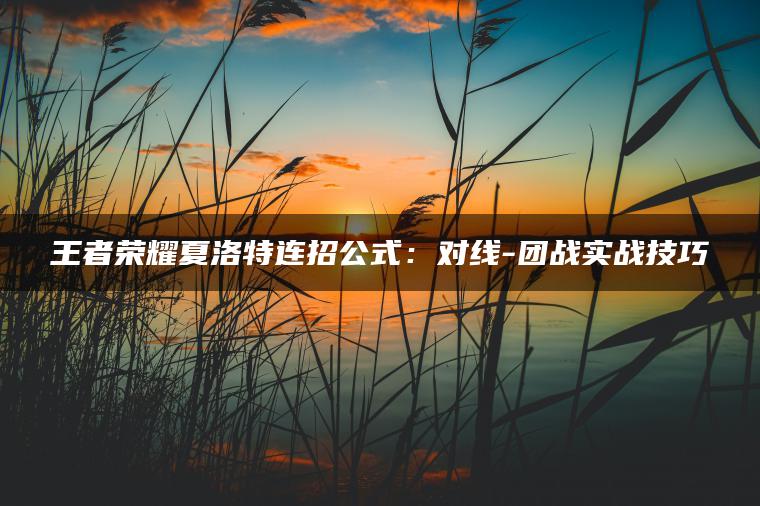 王者荣耀夏洛特连招公式：对线-团战实战技巧