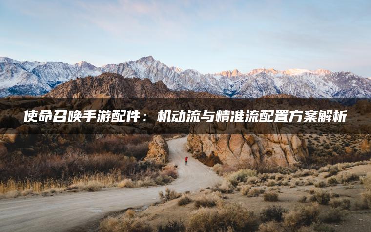 使命召唤手游配件：机动流与精准流配置方案解析