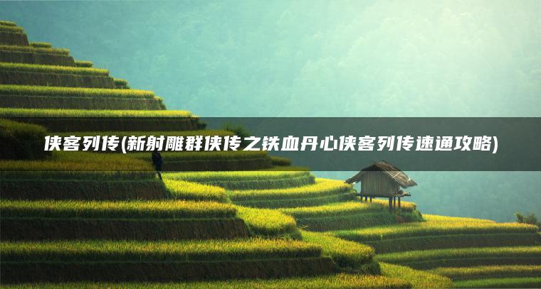 侠客列传(新射雕群侠传之铁血丹心侠客列传速通攻略)