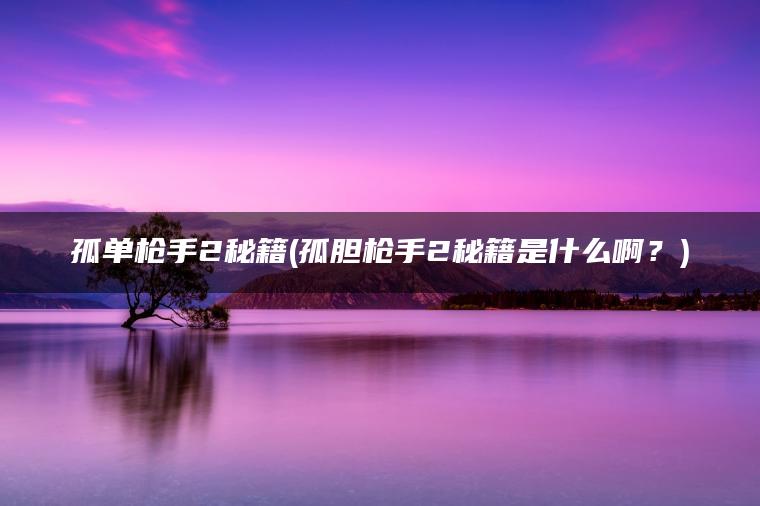 孤单枪手2秘籍(孤胆枪手2秘籍是什么啊？)