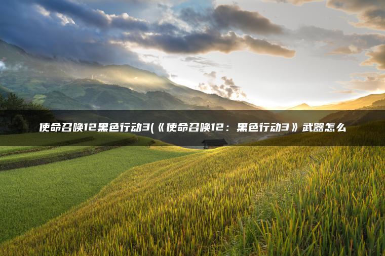 使命召唤12黑色行动3(《使命召唤12：黑色行动3》武器怎么
