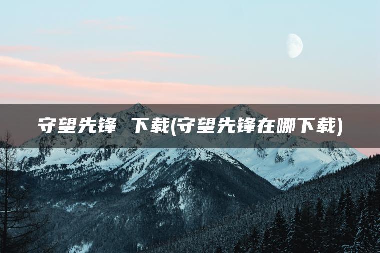 守望先锋 下载(守望先锋在哪下载)