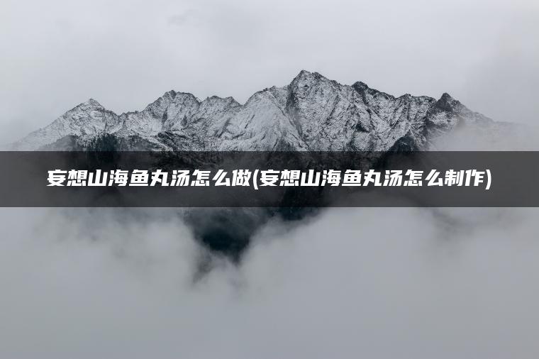 妄想山海鱼丸汤怎么做(妄想山海鱼丸汤怎么制作)