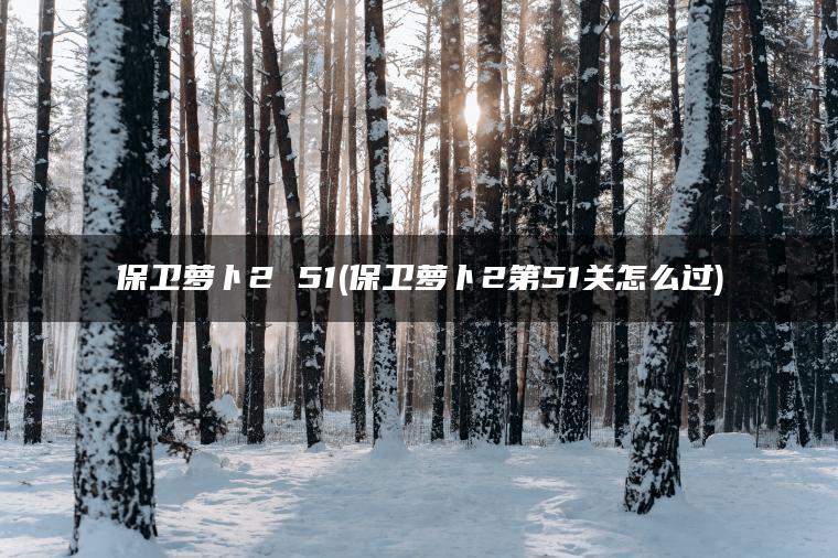 保卫萝卜2 51(保卫萝卜2第51关怎么过)