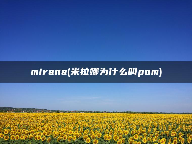 mirana(米拉娜为什么叫pom)