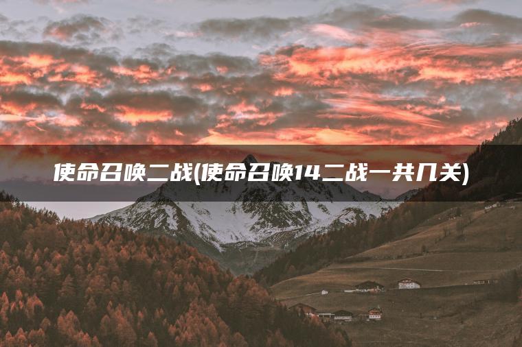 使命召唤二战(使命召唤14二战一共几关)