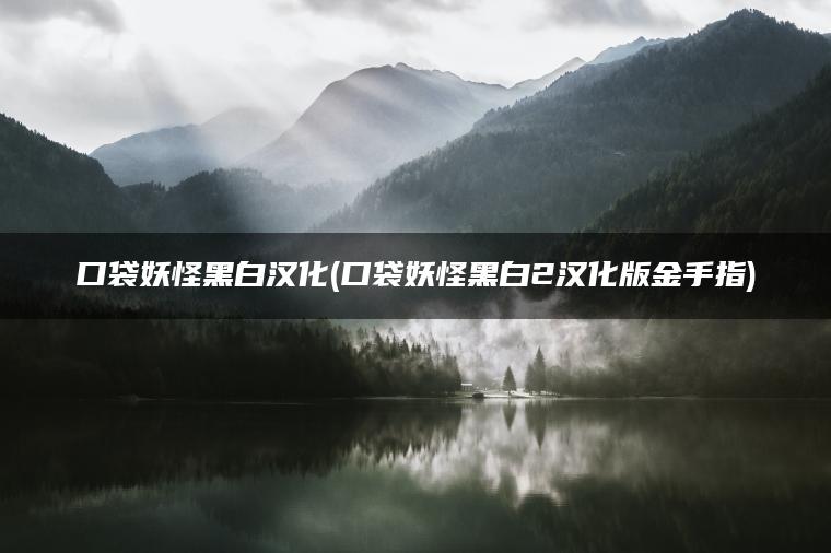 口袋妖怪黑白汉化(口袋妖怪黑白2汉化版金手指)