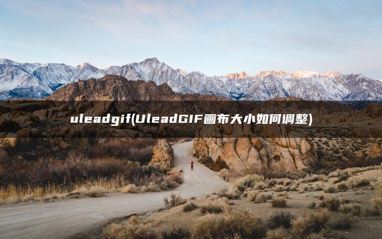 uleadgif(UleadGIF画布大小如何调整)