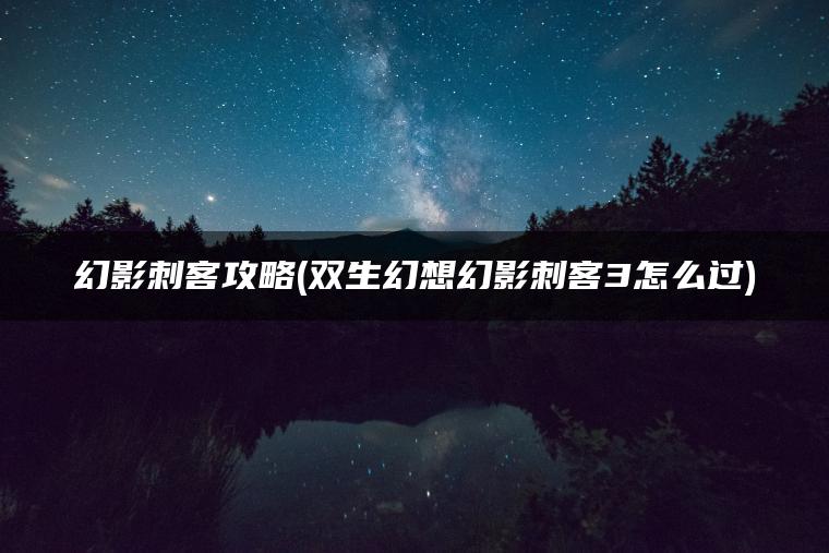 幻影刺客攻略(双生幻想幻影刺客3怎么过)