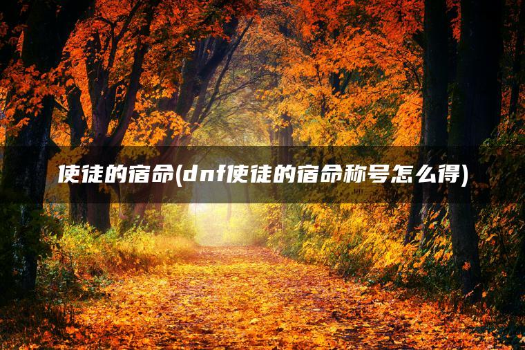 使徒的宿命(dnf使徒的宿命称号怎么得)