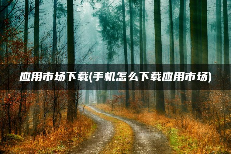 应用市场下载(手机怎么下载应用市场)