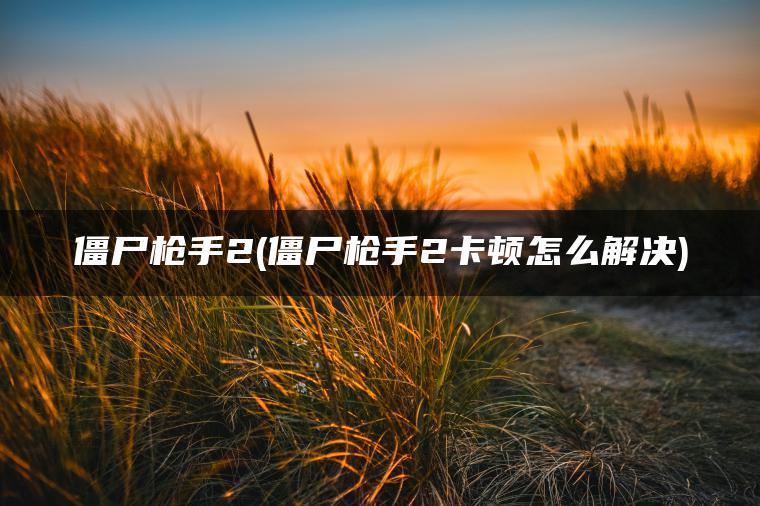僵尸枪手2(僵尸枪手2卡顿怎么解决)