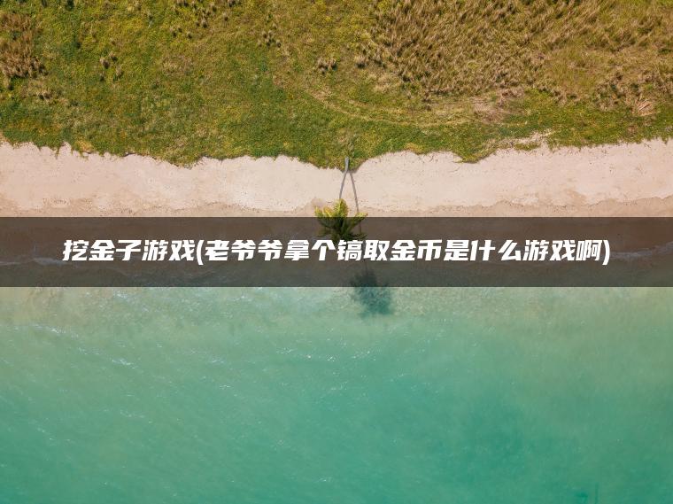 挖金子游戏(老爷爷拿个镐取金币是什么游戏啊)
