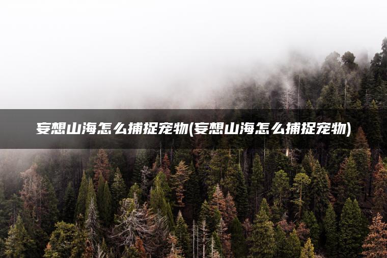妄想山海怎么捕捉宠物(妄想山海怎么捕捉宠物)