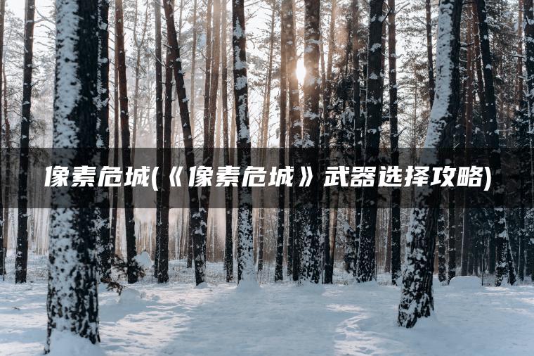 像素危城(《像素危城》武器选择攻略)
