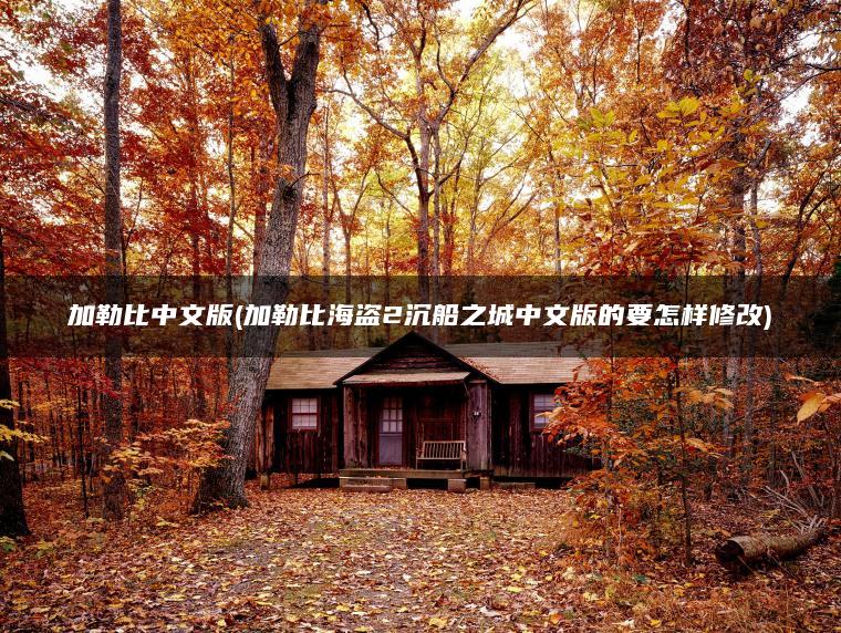 加勒比中文版(加勒比海盗2沉船之城中文版的要怎样修改)