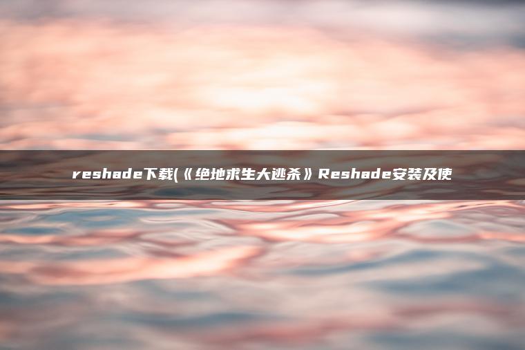reshade下载(《绝地求生大逃杀》Reshade安装及使