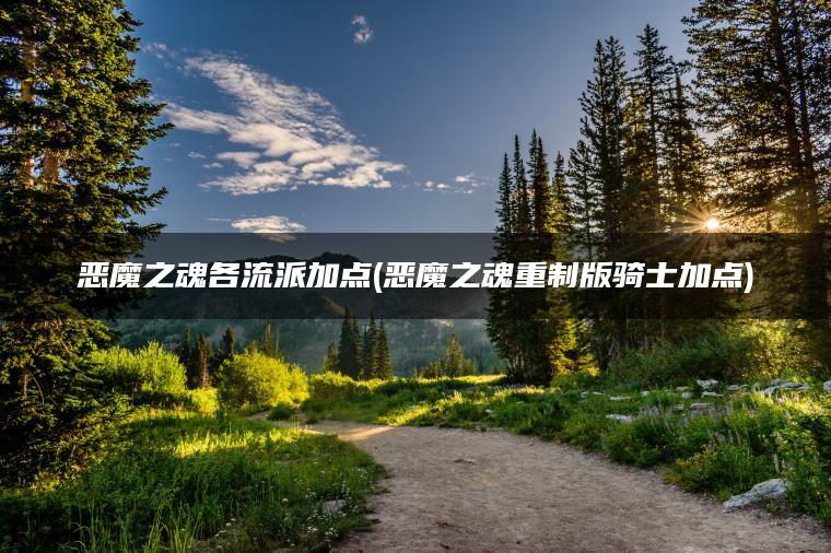 恶魔之魂各流派加点(恶魔之魂重制版骑士加点)