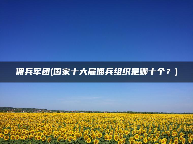 佣兵军团(国家十大雇佣兵组织是哪十个？)