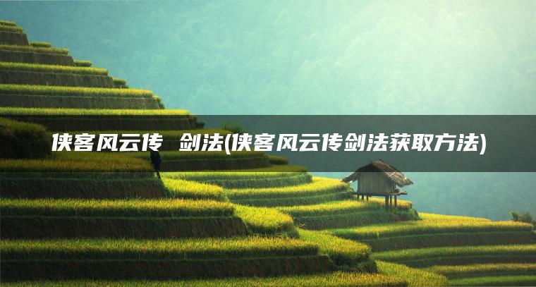 侠客风云传 剑法(侠客风云传剑法获取方法)