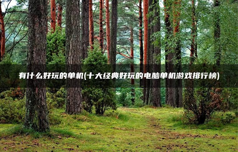 有什么好玩的单机(十大经典好玩的电脑单机游戏排行榜)