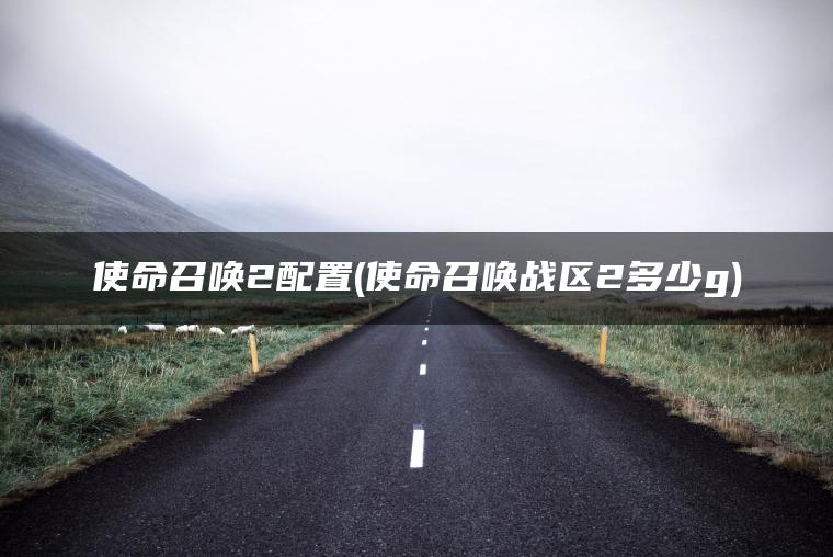 使命召唤2配置(使命召唤战区2多少g)