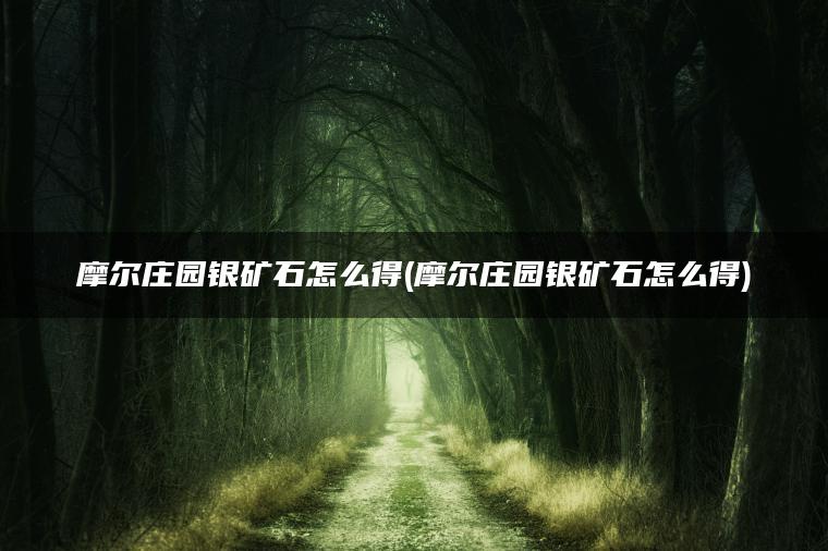 摩尔庄园银矿石怎么得(摩尔庄园银矿石怎么得)