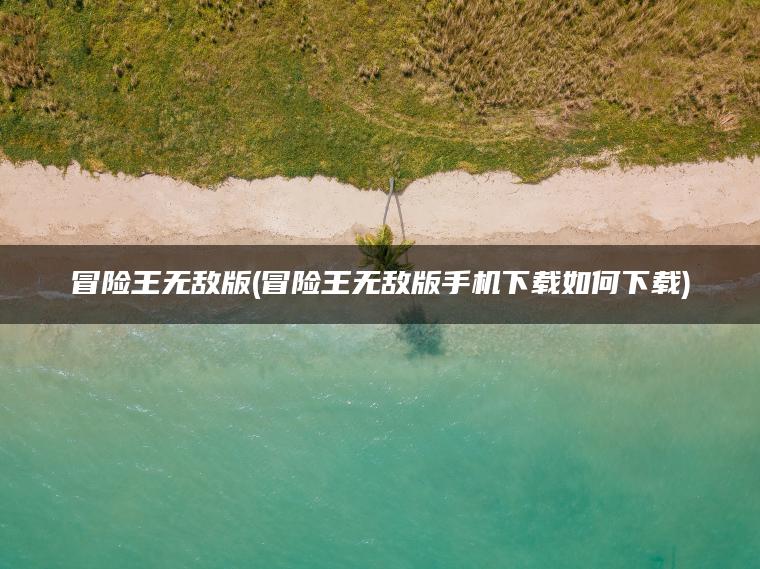 冒险王无敌版(冒险王无敌版手机下载如何下载)