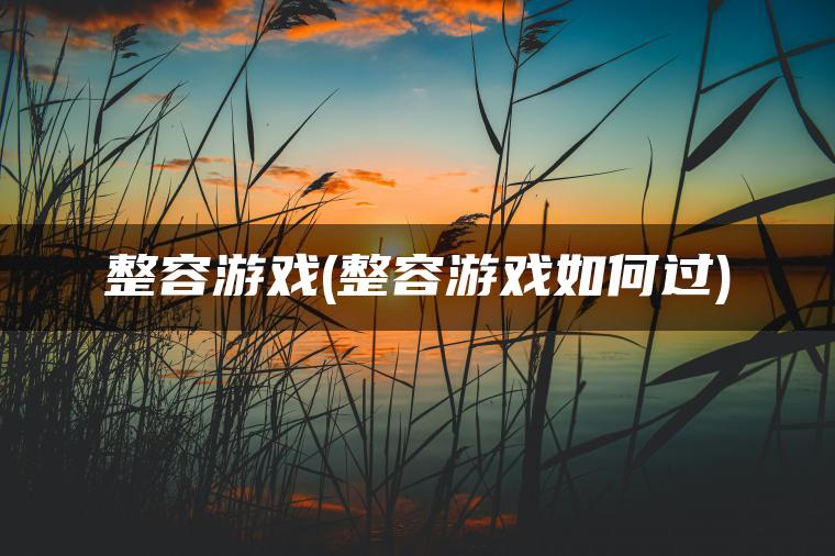 整容游戏(整容游戏如何过)