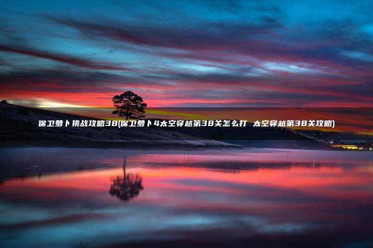保卫萝卜挑战攻略38(保卫萝卜4太空穿越第38关怎么打 太空穿越第38关攻略)