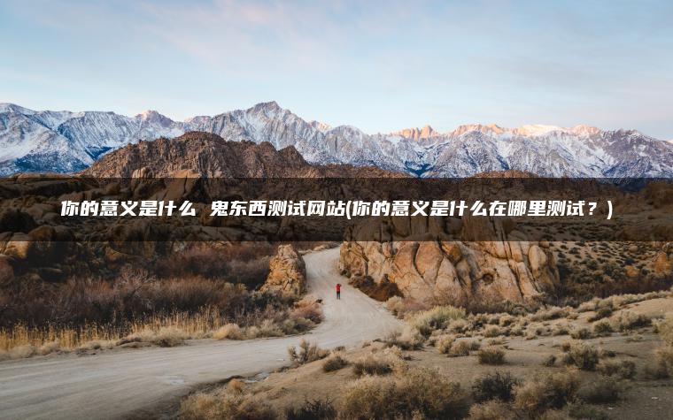 你的意义是什么 鬼东西测试网站(你的意义是什么在哪里测试？)