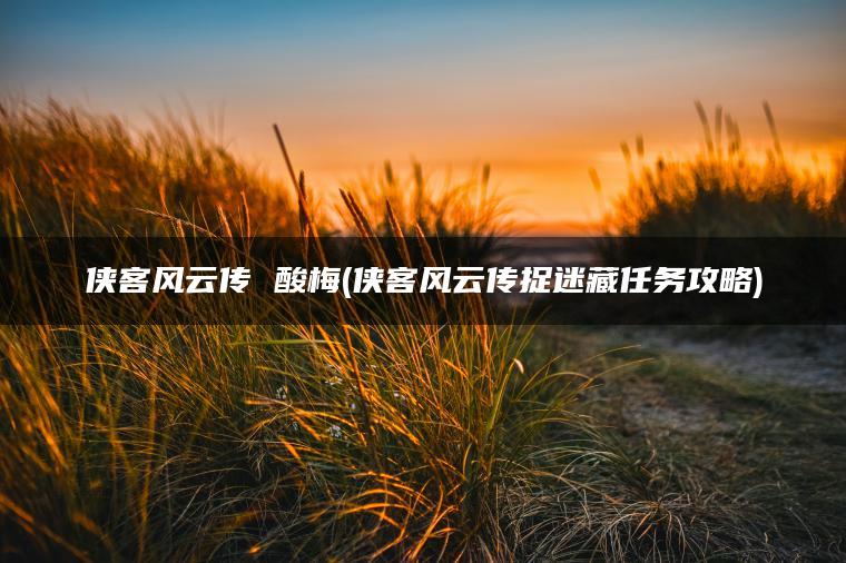 侠客风云传 酸梅(侠客风云传捉迷藏任务攻略)