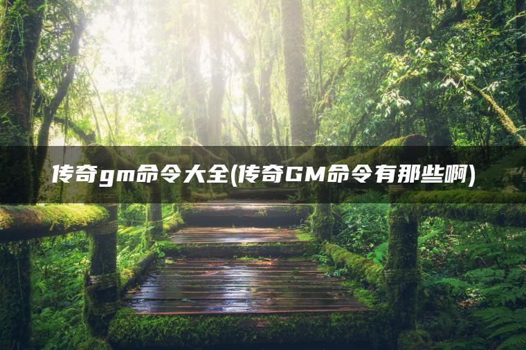 传奇gm命令大全(传奇GM命令有那些啊)