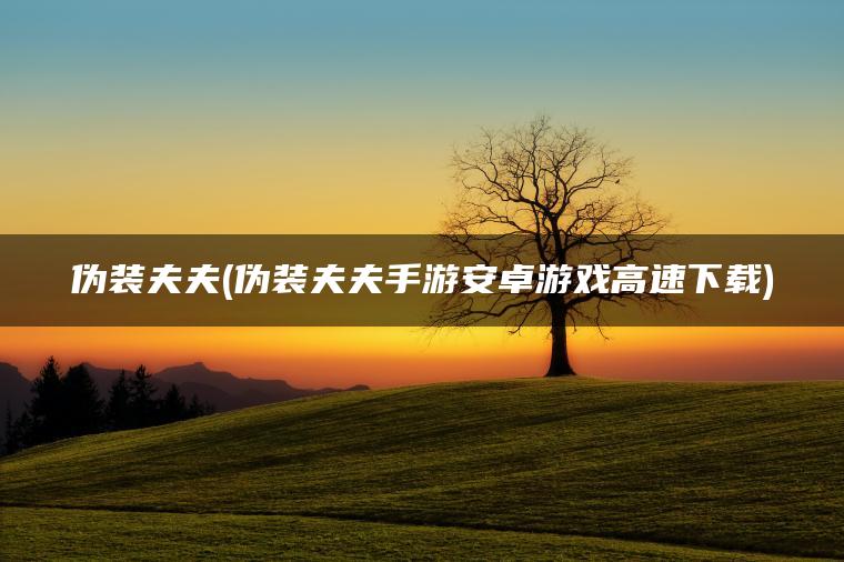 伪装夫夫(伪装夫夫手游安卓游戏高速下载)
