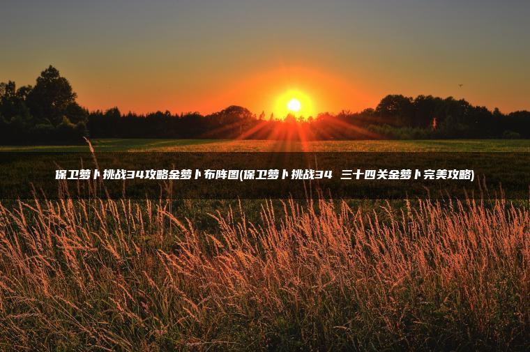 保卫萝卜挑战34攻略金萝卜布阵图(保卫萝卜挑战34 三十四关金萝卜完美攻略)