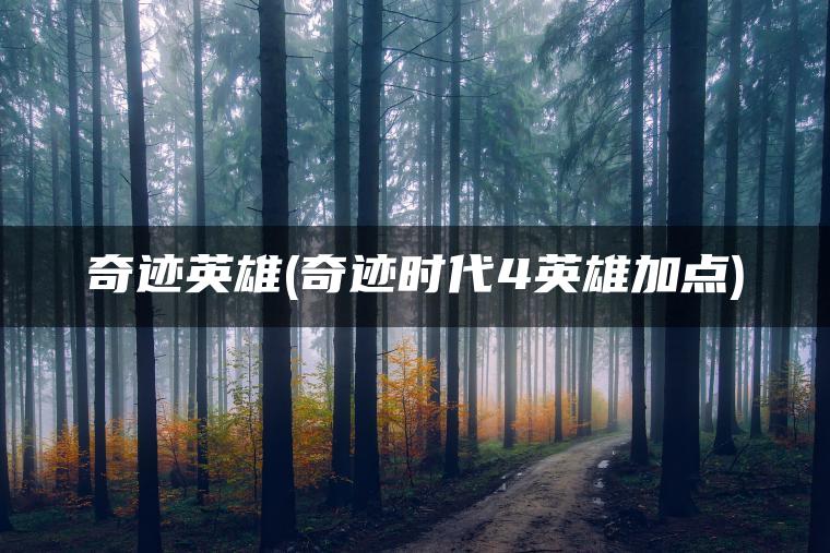 奇迹英雄(奇迹时代4英雄加点)