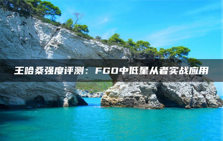 王哈桑强度评测：FGO中低星从者实战应用