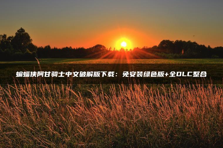 蝙蝠侠阿甘骑士中文破解版下载：免安装绿色版+全DLC整合