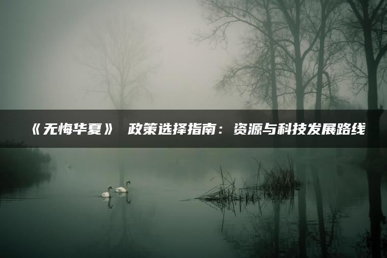 《无悔华夏》 政策选择指南：资源与科技发展路线