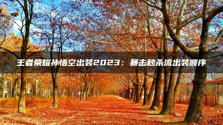 王者荣耀孙悟空出装2023：暴击秒杀流出装顺序