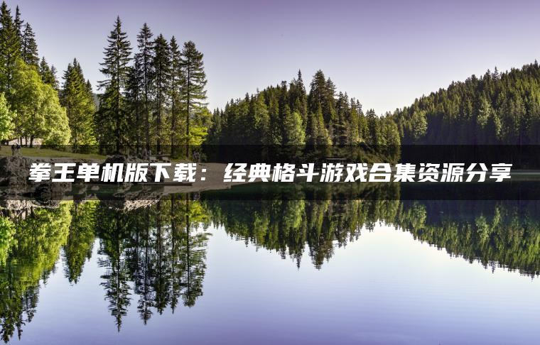 拳王单机版下载：经典格斗游戏合集资源分享