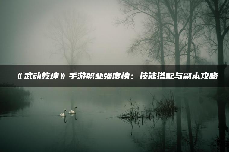 《武动乾坤》手游职业强度榜：技能搭配与副本攻略