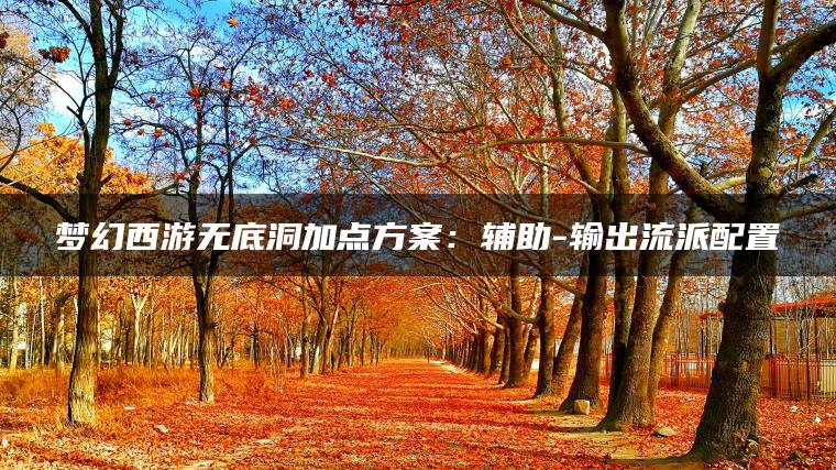 梦幻西游无底洞加点方案：辅助-输出流派配置