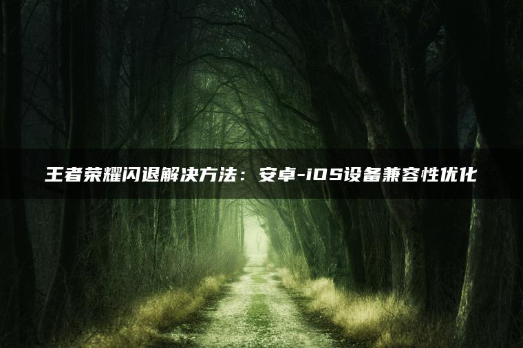 王者荣耀闪退解决方法：安卓-iOS设备兼容性优化
