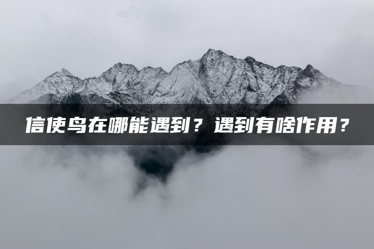 信使鸟在哪能遇到？遇到有啥作用？