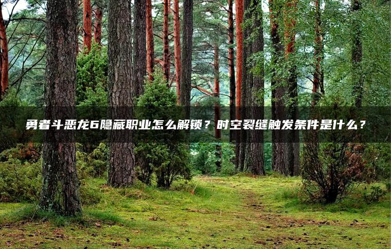 勇者斗恶龙6隐藏职业怎么解锁？时空裂缝触发条件是什么？