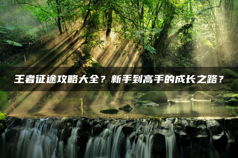 王者征途攻略大全？新手到高手的成长之路？