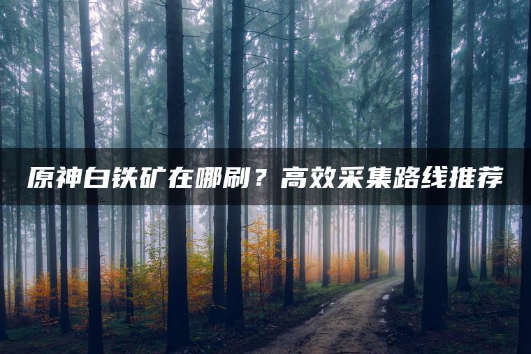 原神白铁矿在哪刷？高效采集路线推荐