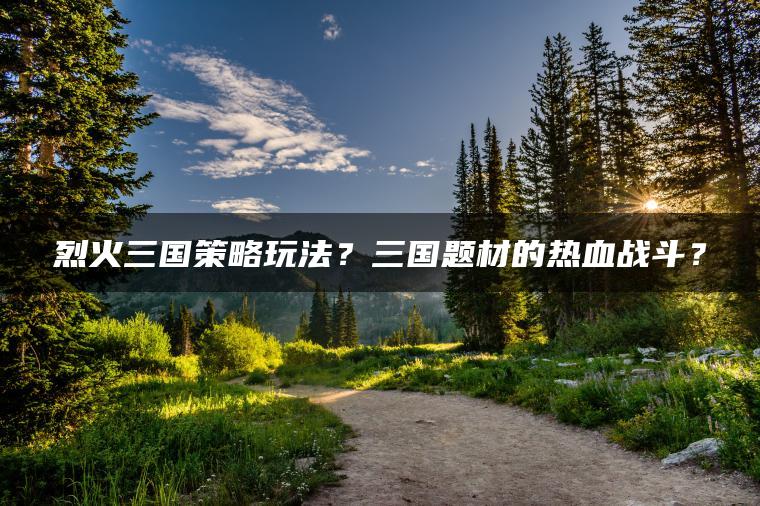 烈火三国策略玩法？三国题材的热血战斗？